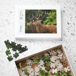 Puzzle Hirsch